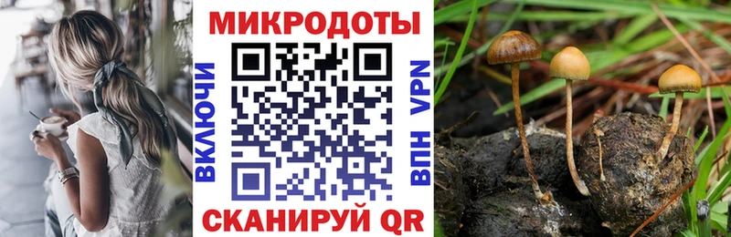 Псилоцибиновые грибы MAGIC MUSHROOMS  где можно купить   сайты даркнета наркотические препараты  Богданович 